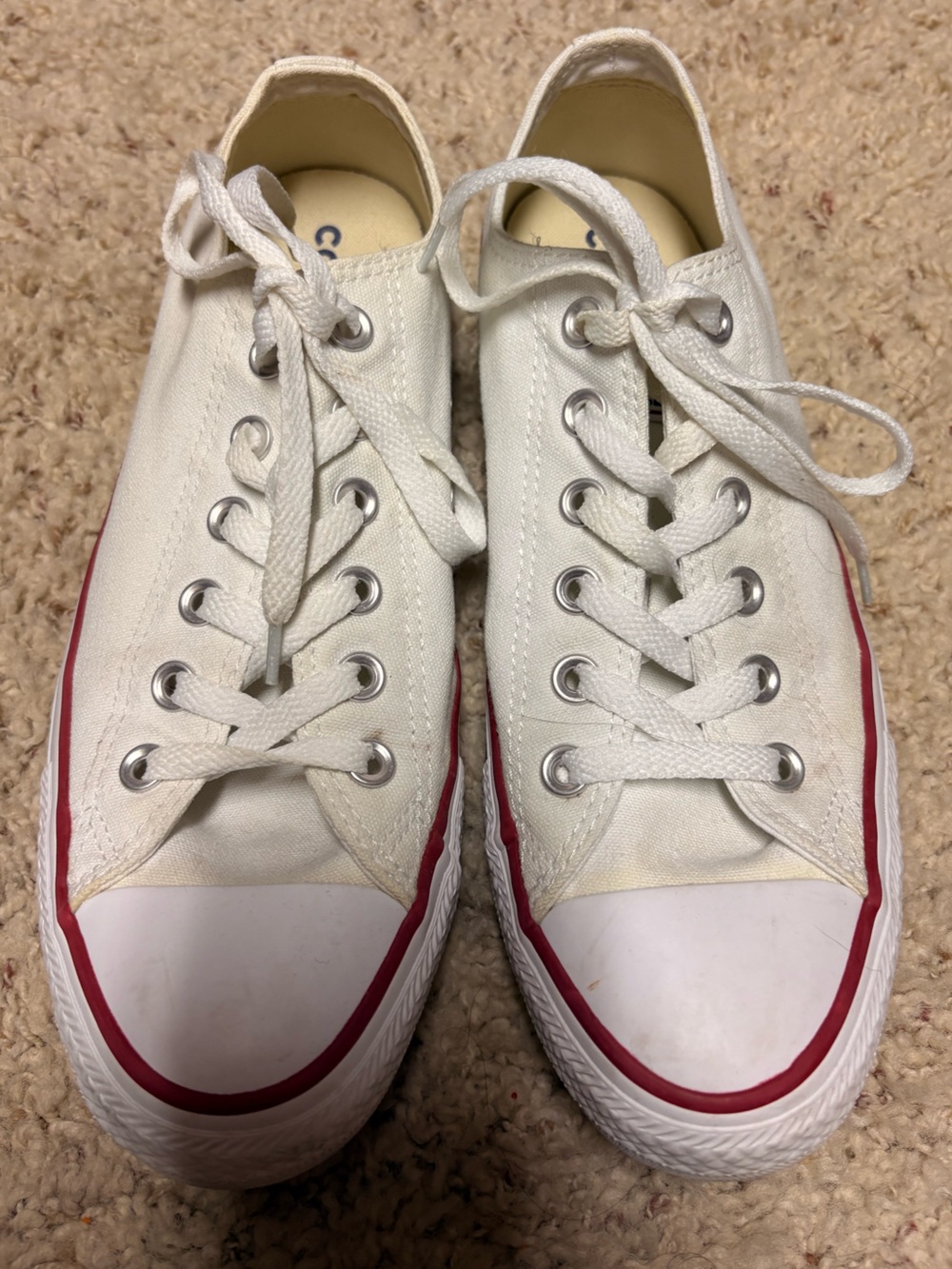 Converse White Low Tops
